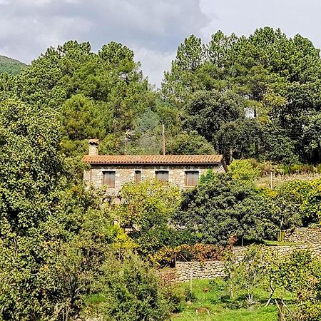 Casa Rural En Candeleda Con Piscina Y Un Maravilloso Jardin Buitenkant foto