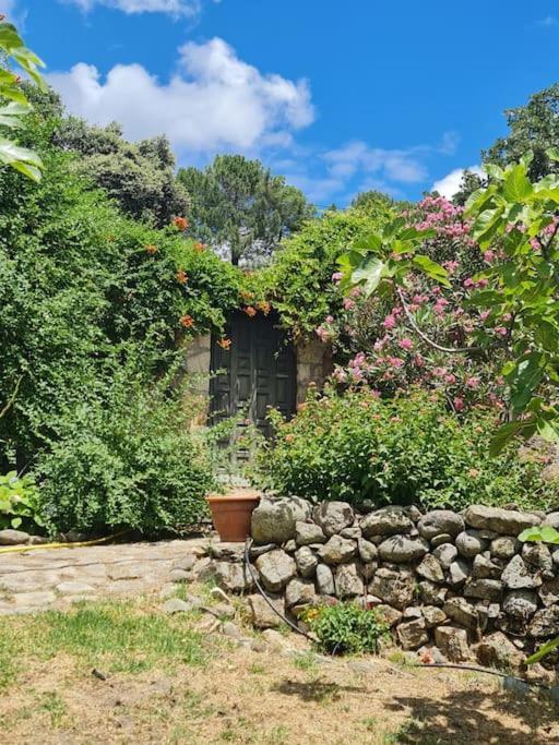 Casa Rural En Candeleda Con Piscina Y Un Maravilloso Jardin Buitenkant foto