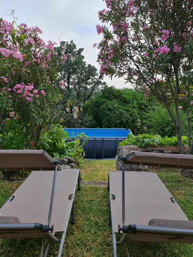 Casa Rural En Candeleda Con Piscina Y Un Maravilloso Jardin Buitenkant foto