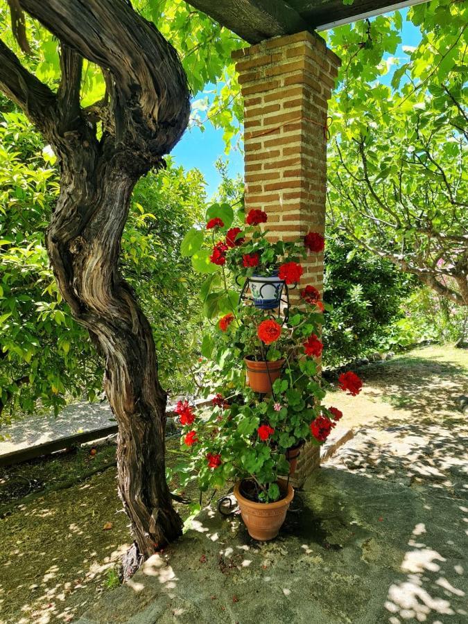Casa Rural En Candeleda Con Piscina Y Un Maravilloso Jardin Buitenkant foto