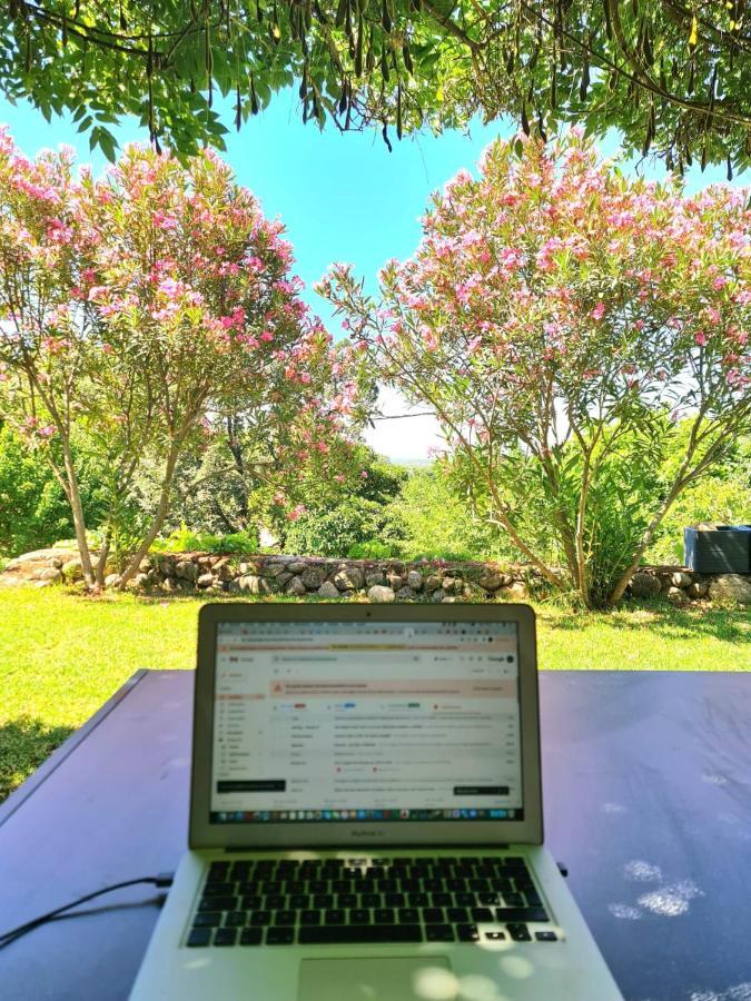 Casa Rural En Candeleda Con Piscina Y Un Maravilloso Jardin Buitenkant foto