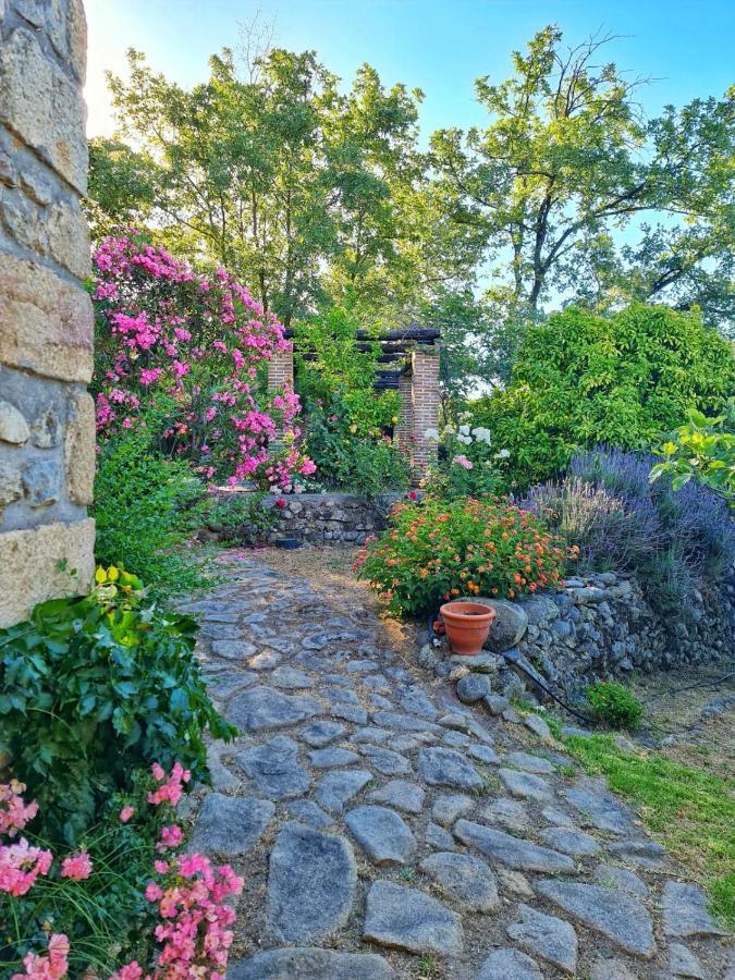 Casa Rural En Candeleda Con Piscina Y Un Maravilloso Jardin Buitenkant foto