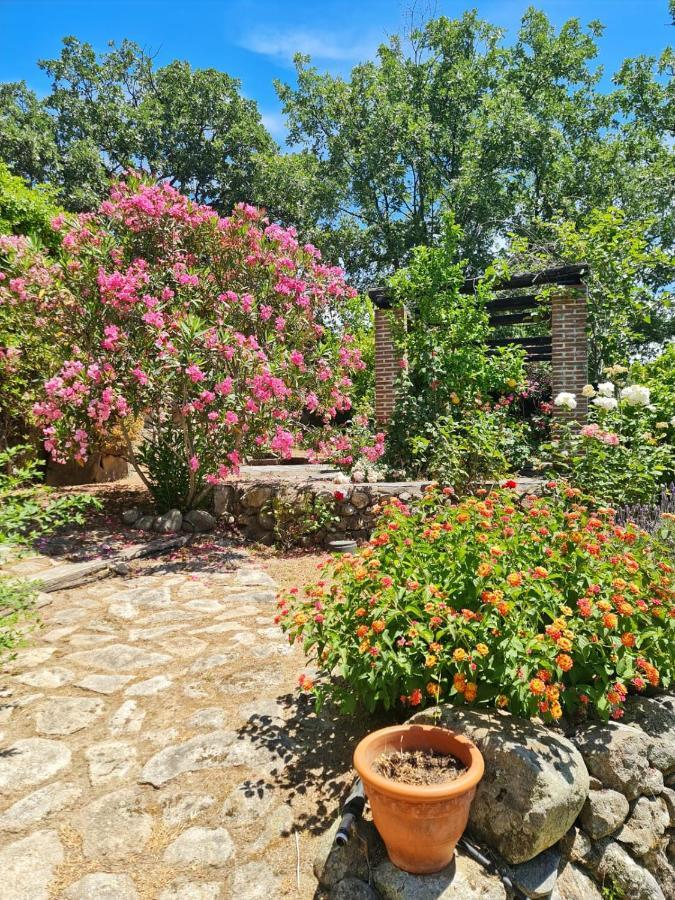 Casa Rural En Candeleda Con Piscina Y Un Maravilloso Jardin Buitenkant foto