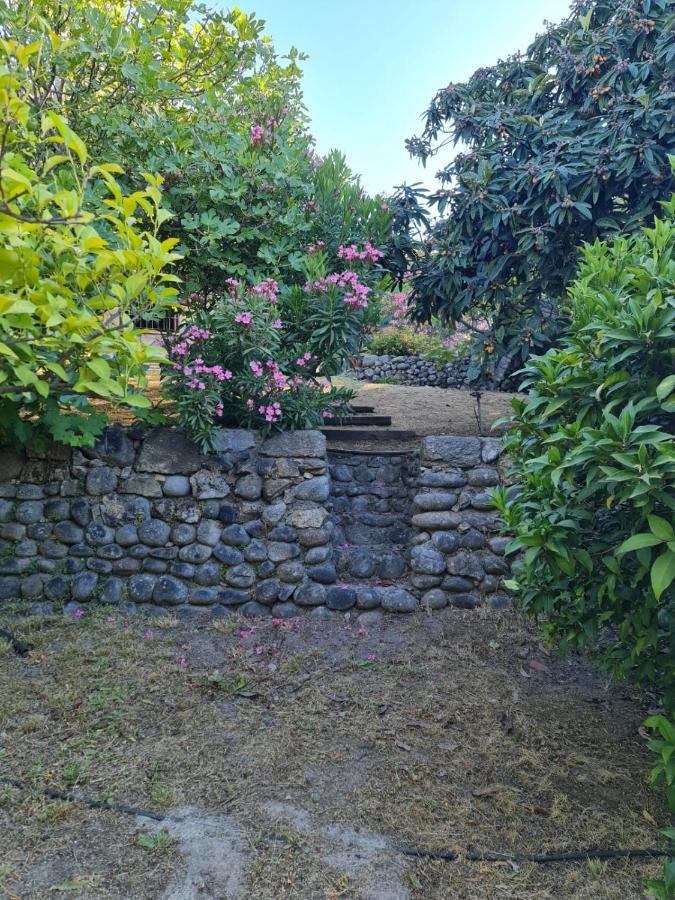 Casa Rural En Candeleda Con Piscina Y Un Maravilloso Jardin Buitenkant foto