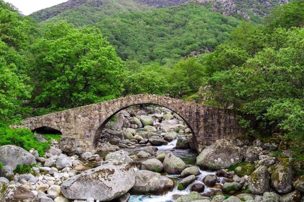 Casa Rural En Candeleda Con Piscina Y Un Maravilloso Jardin Buitenkant foto