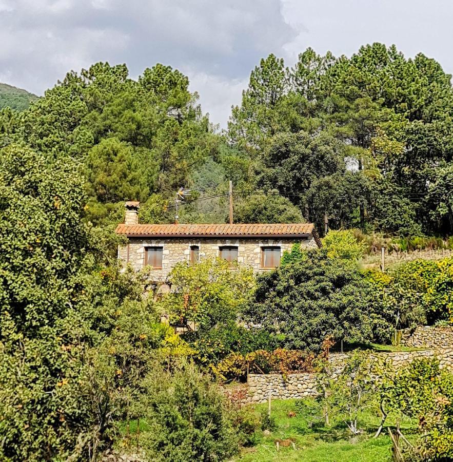 Casa Rural En Candeleda Con Piscina Y Un Maravilloso Jardin Buitenkant foto