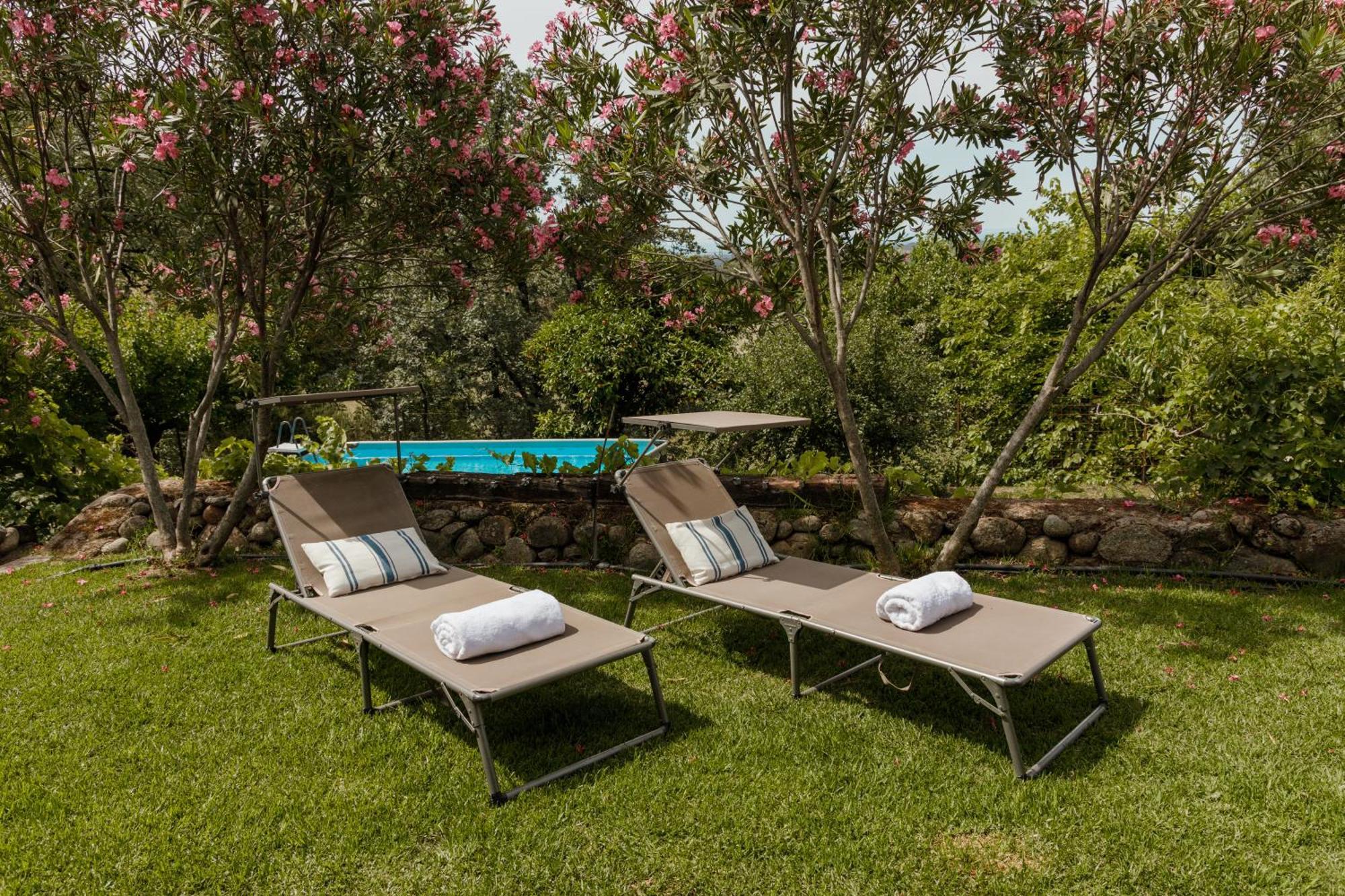Casa Rural En Candeleda Con Piscina Y Un Maravilloso Jardin Buitenkant foto