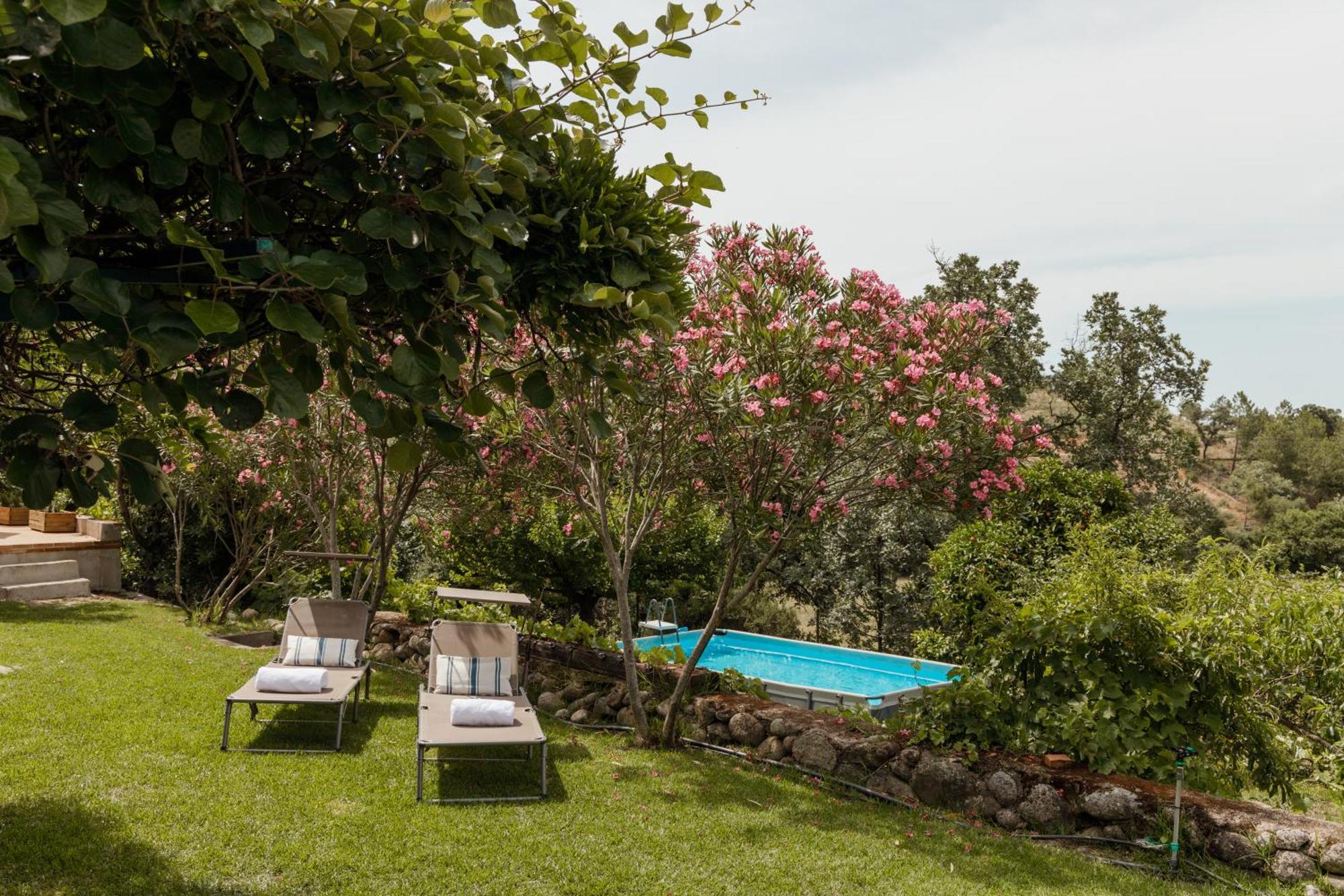 Casa Rural En Candeleda Con Piscina Y Un Maravilloso Jardin Buitenkant foto