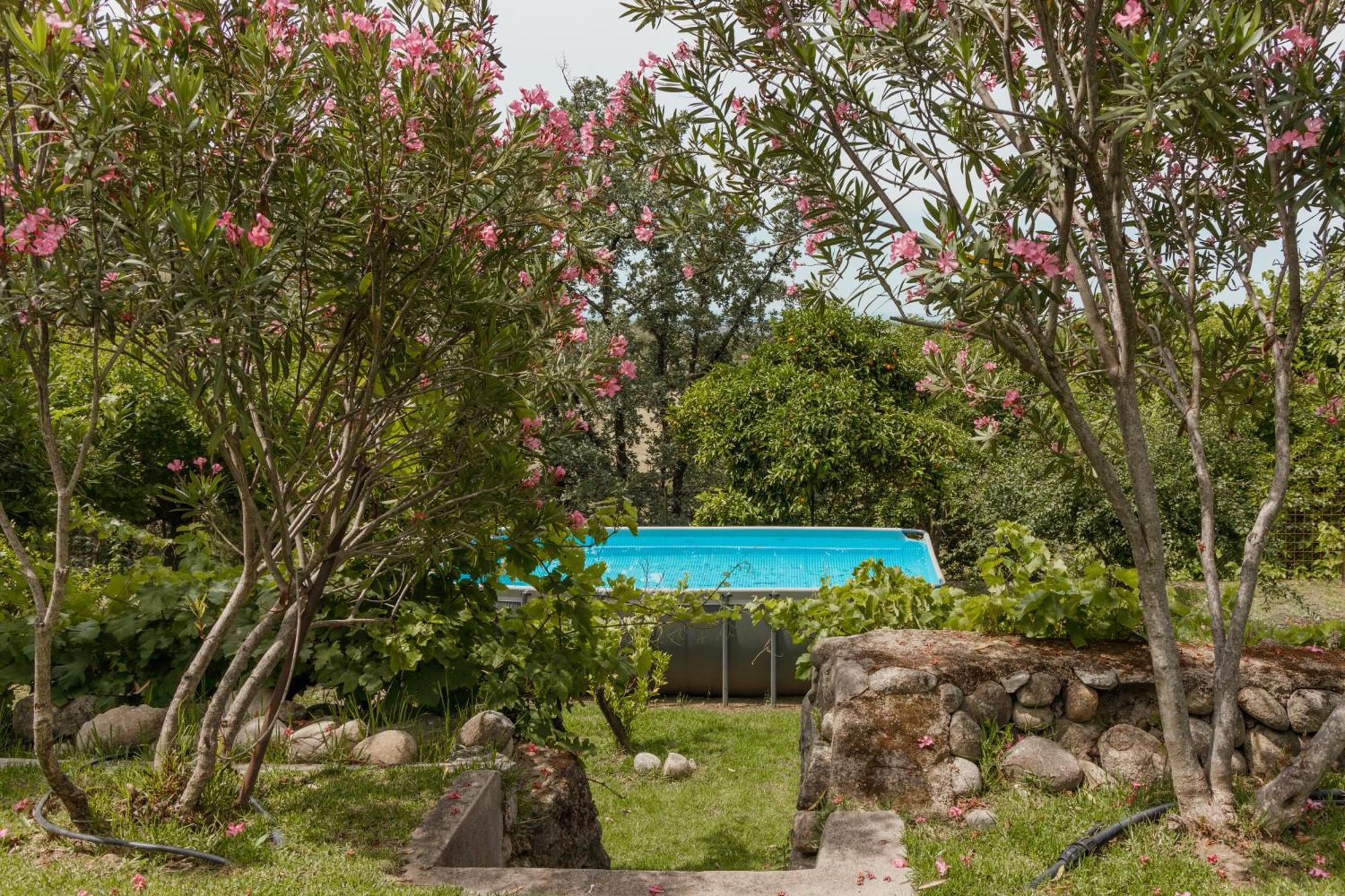 Casa Rural En Candeleda Con Piscina Y Un Maravilloso Jardin Buitenkant foto