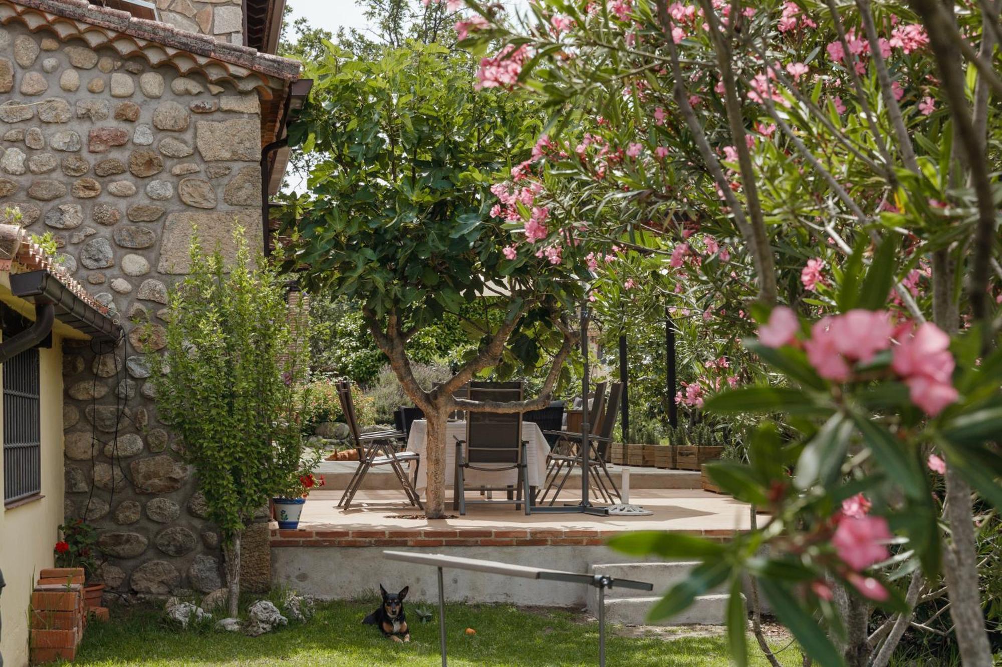 Casa Rural En Candeleda Con Piscina Y Un Maravilloso Jardin Buitenkant foto